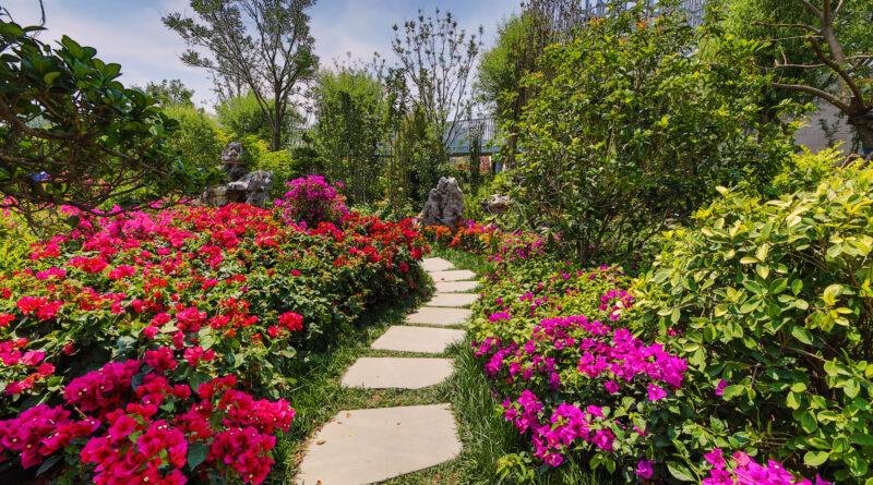 Besondere Motive F r Den Garten Top themen